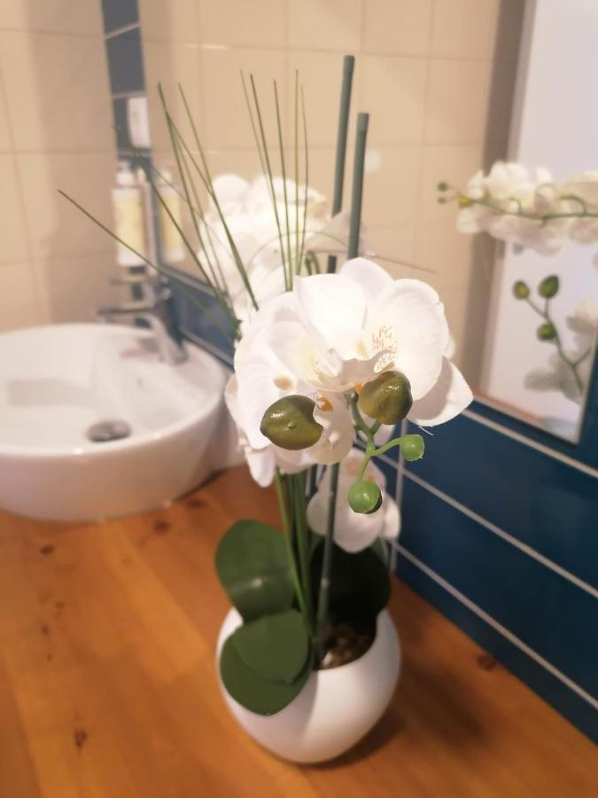 Apartamento Graciosa - Sta Catarina Place Ponta Delgada Extérieur photo